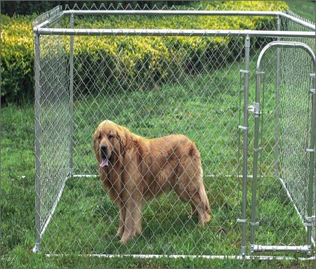 Portable dog cage